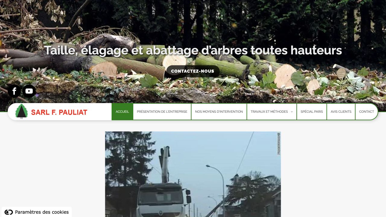 Capture du site de François Pauliat Élagage
