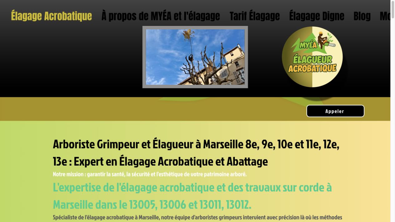 Capture du site de MYÉA Élagueur Acrobatique