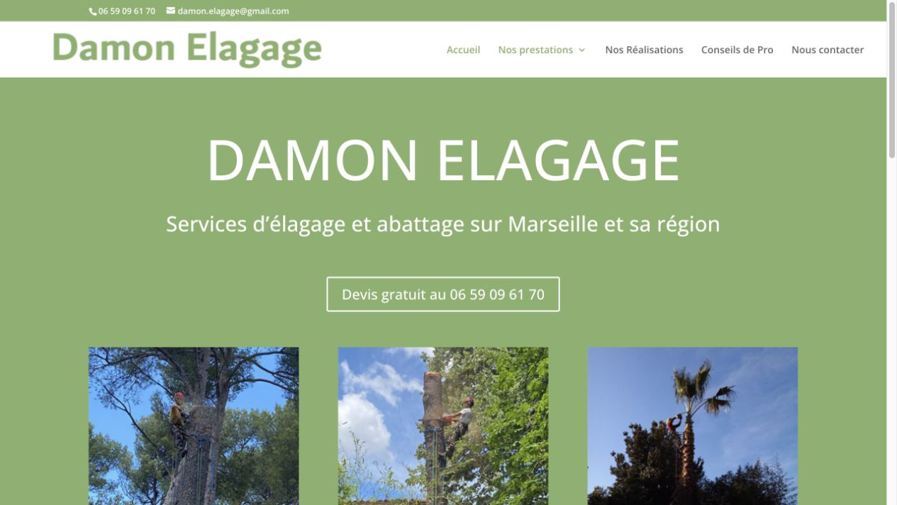 Capture du site de Damon Élagage